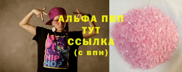 дмт Болотное