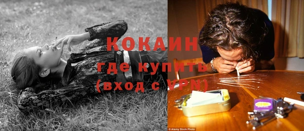 прущая мука Арсеньев
