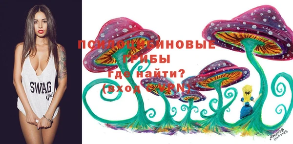 spice Армянск